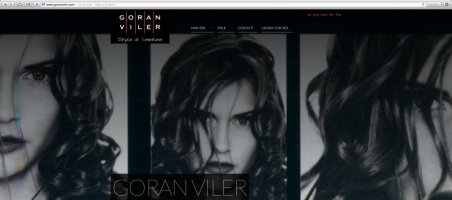 Goran Viler Hair Spa